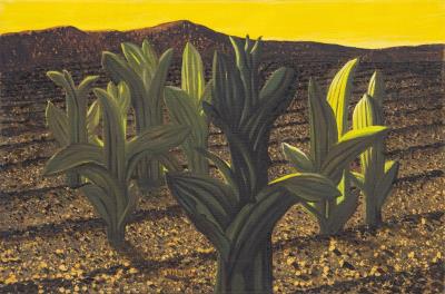 Cacti