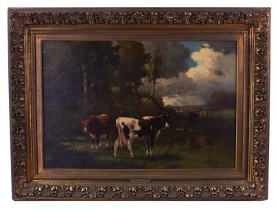 Cows Grazing