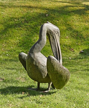 Pelican