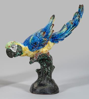 Large Parrot