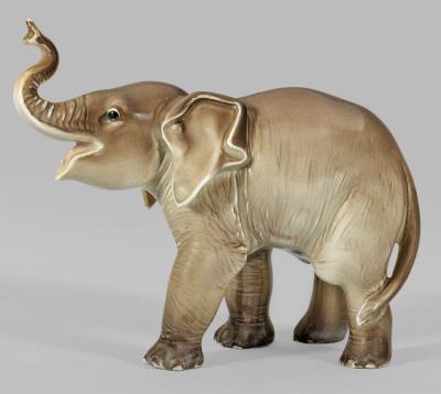 Rare young elephant