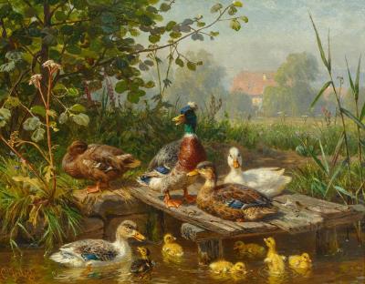 A family of ducks at a pond