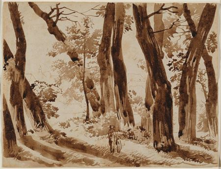 Forest with walkers and a village in the background.