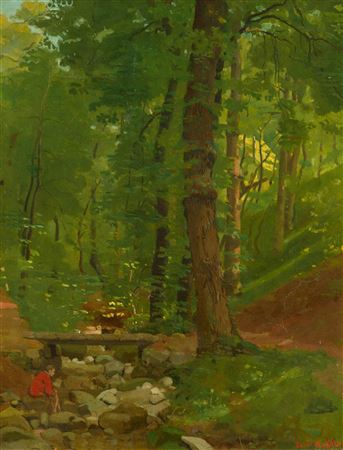 Forest interior (Le Nant de Frontenex)