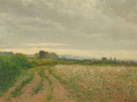 Landscape with flower meadow.
