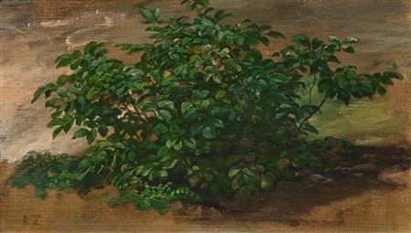 Study of a shrub.