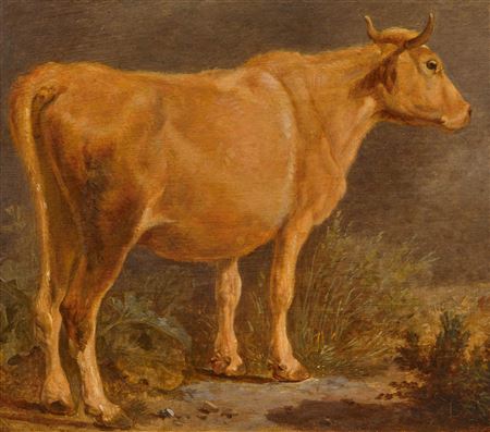 Vache de trois-quarts.