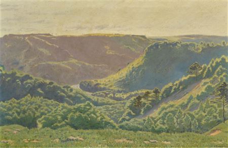 View towards Sennhof, Tösstal. 1911.