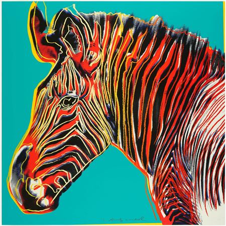 Grevy's Zebra