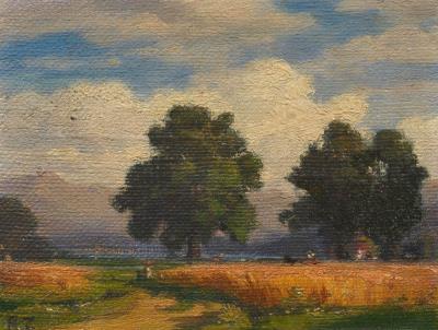 Small landscape with cornfield and oak trees