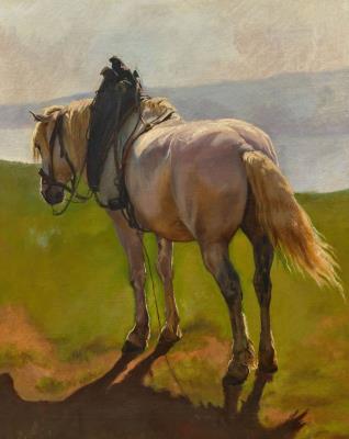 Grey horse