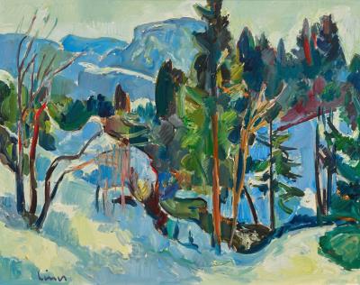 Winter landscape, Ebenalp