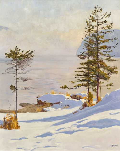 Winter landscape on Lake Thun