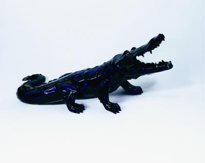 Born Wild – Crocodile