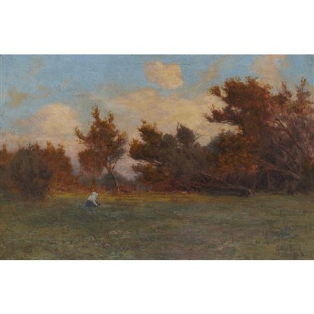 Landscape