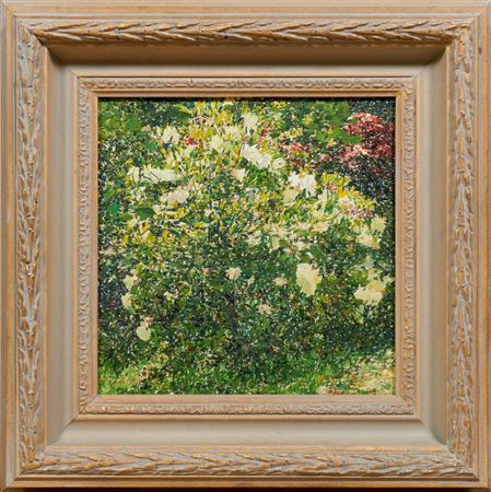 A flowering bush in a garden