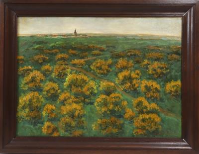 Country View