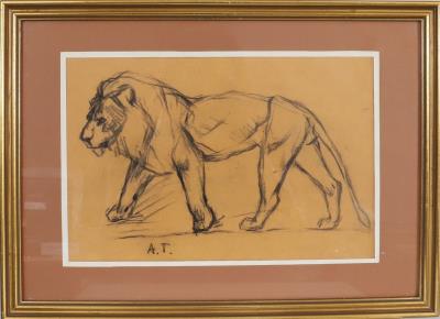 The Lion