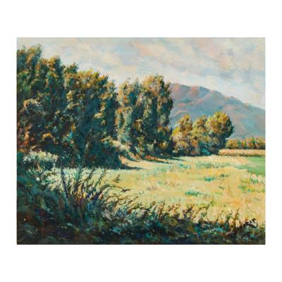 Country landscape by Francesc Saborit - Auction record, sale price, and art valuation. Compare with similar artists and explore comparable artworks.