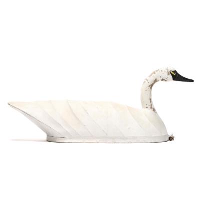 Swan