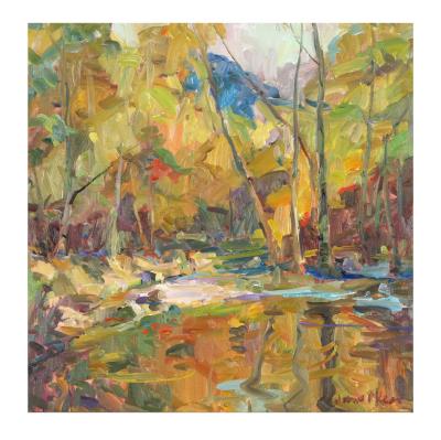Wilson Creek