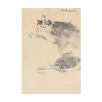 Sleeping Cat