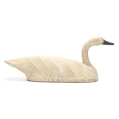 Swan