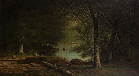 Trees Surrounding Water