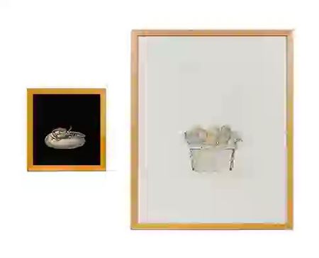 ‘Salamander’ and ‘Box of Shells’ (2)