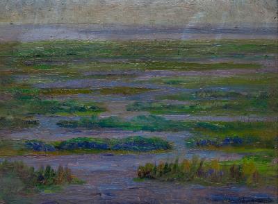 Salt Marsh at Compo