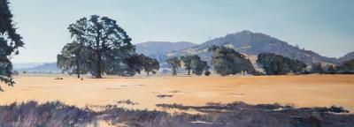 Pope Valley Oaks