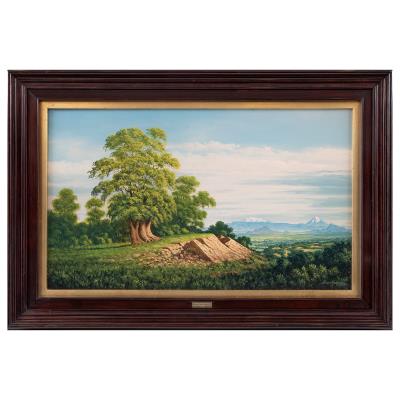 Vista de volcanes de fondo by Miguel Ángel Oropeza - Auction record, sale price, and art valuation. Compare with similar artists and explore comparable artworks.