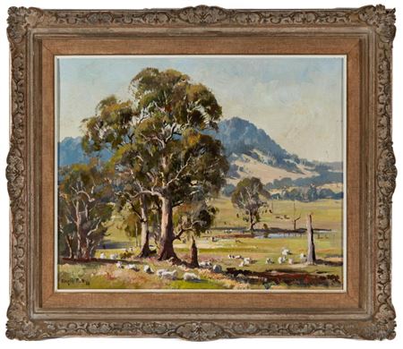 Sheep Grazing near Berrima, Southern Highland, 1953