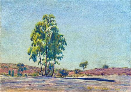 Near Hermannsburg