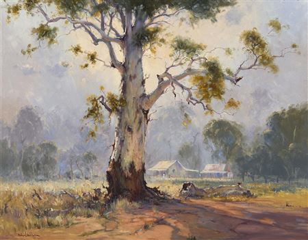 Old Gum Tree