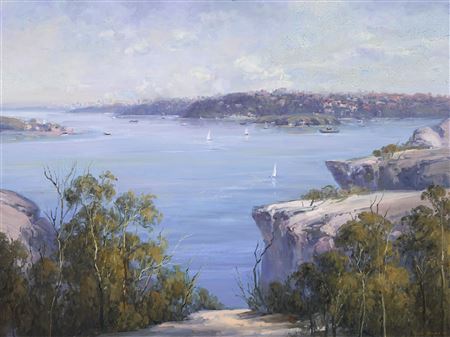 Sydney Harbour Scene