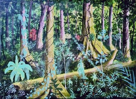 Wild Bananas in Rainforest