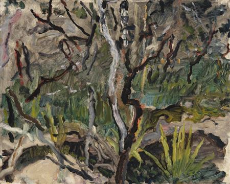 New Growth, Peats Ridge, 1996