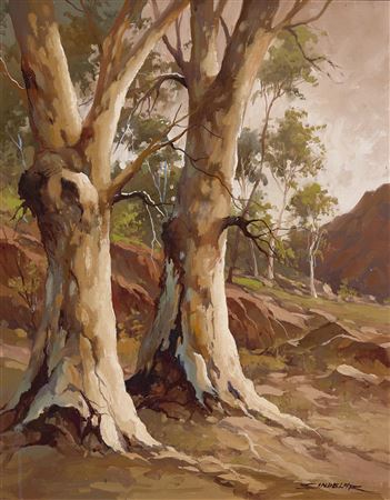 Untitled (Gum Tree)