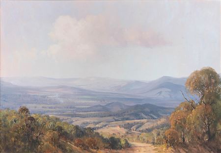 Valley View Landscape