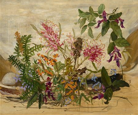 Grevillea banksii and Other Flowers, 1976
