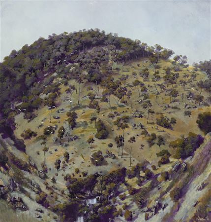 Cave's Hill