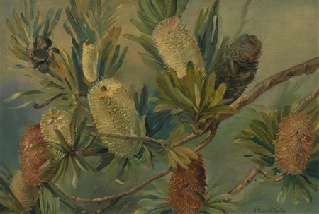 Banksias