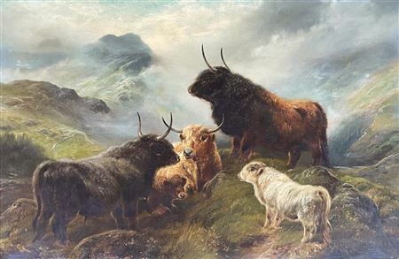 Highland Cattle