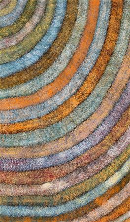 Yam Seed Dreaming