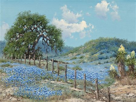 Bluebonnets and Fence