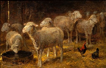 In the Sheepfold