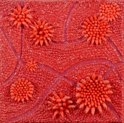 Cells