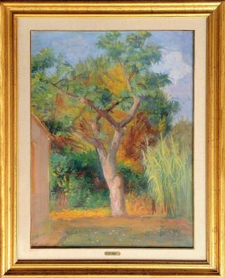 Landscape