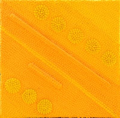 Geometries, 2009